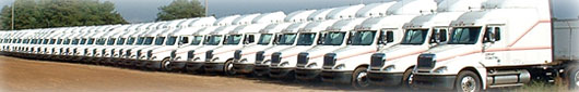 Fleet Vehicles Photo
